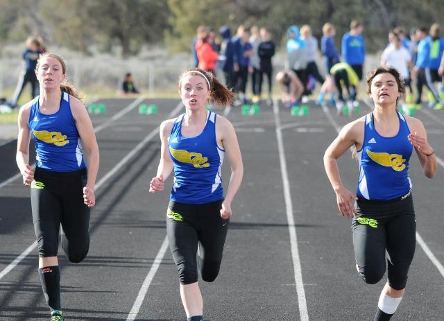 Sports Registration
